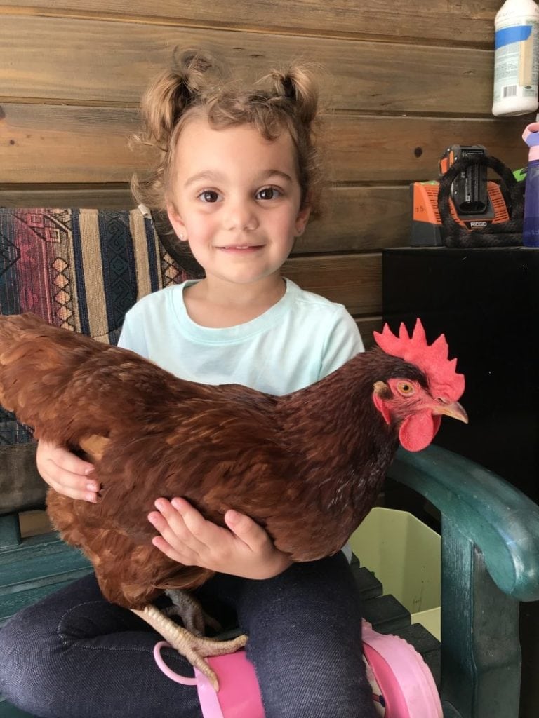 best week of summer at Triple C Farms of Florida